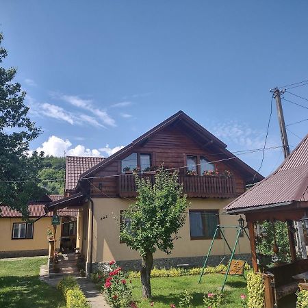 Pensiunea Ghiță Vasile Vadu Izei Exterior foto
