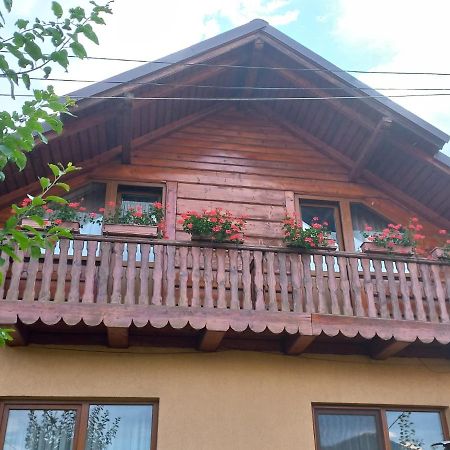 Pensiunea Ghiță Vasile Vadu Izei Exterior foto