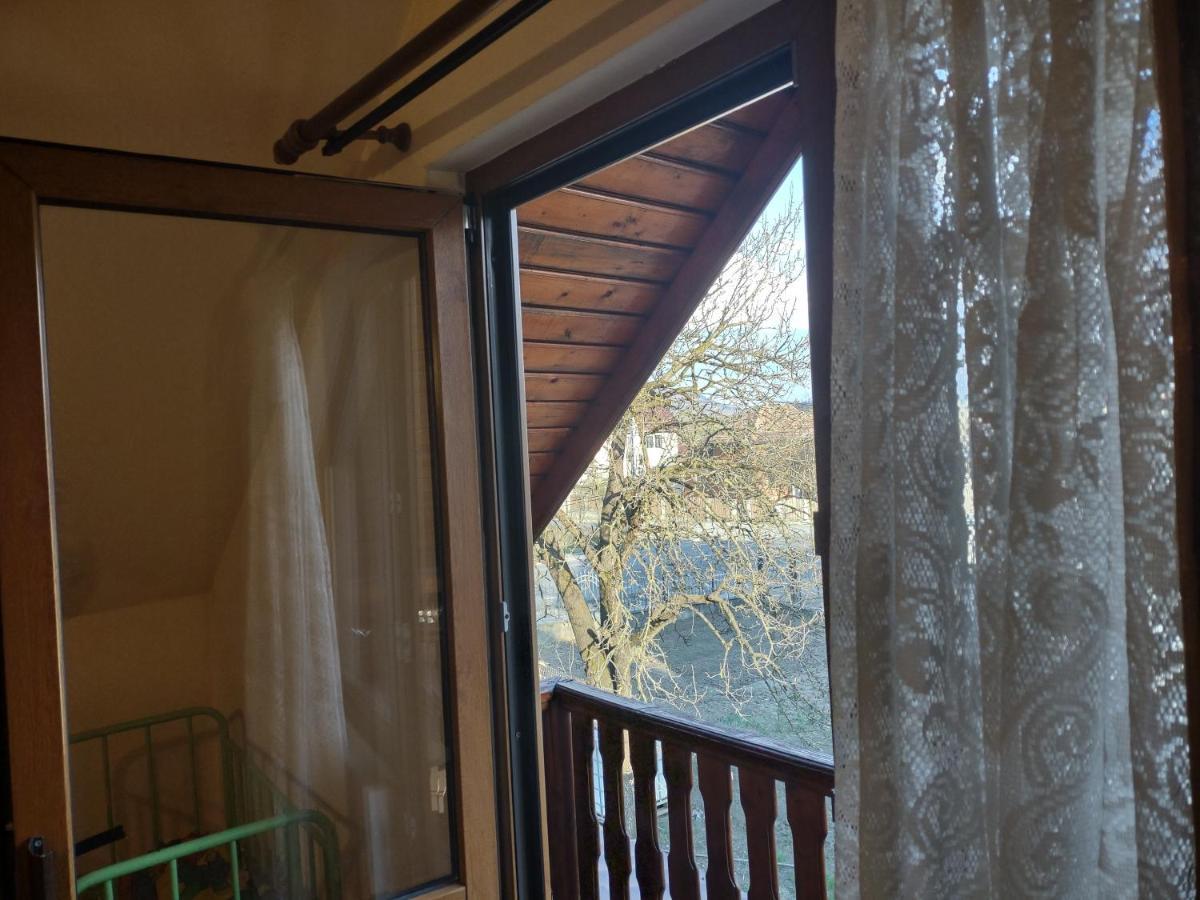 Pensiunea Ghiță Vasile Vadu Izei Exterior foto