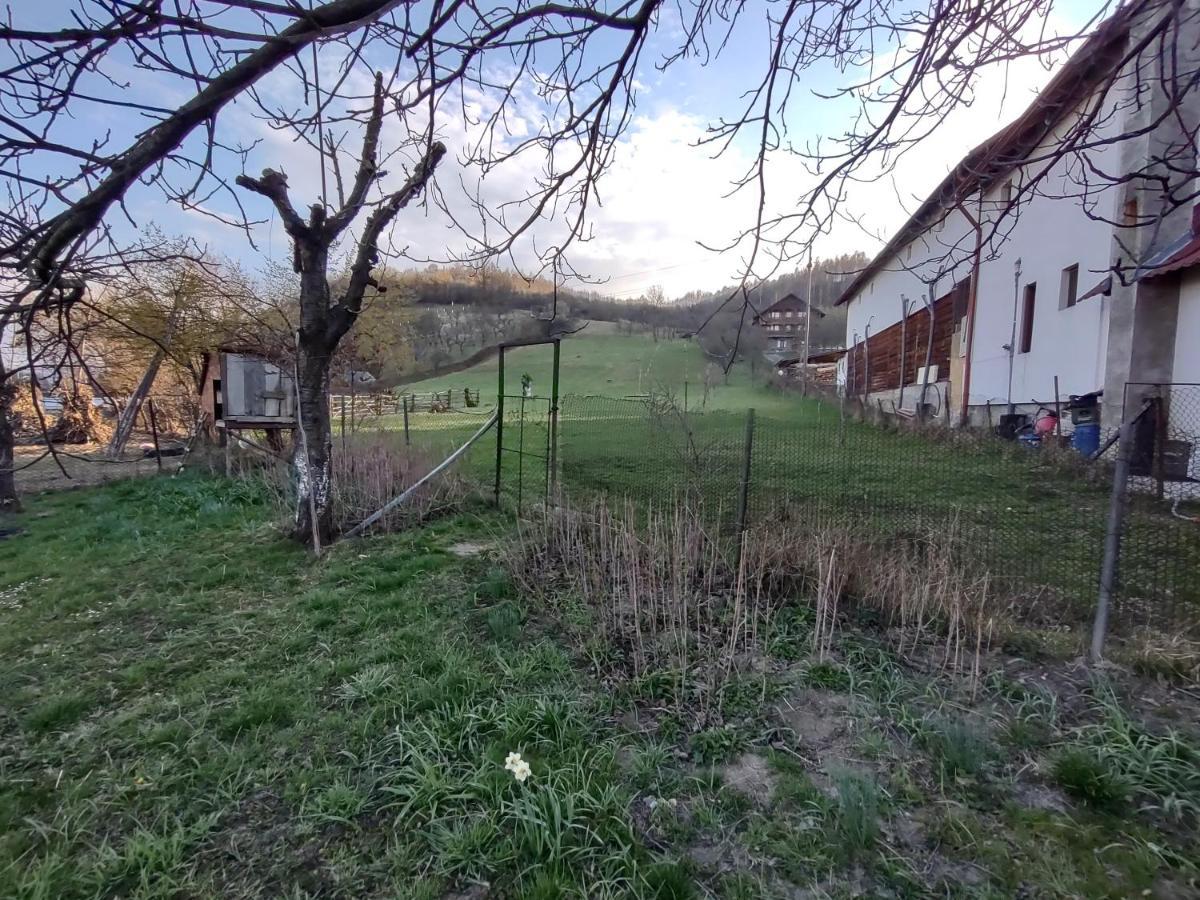 Pensiunea Ghiță Vasile Vadu Izei Exterior foto