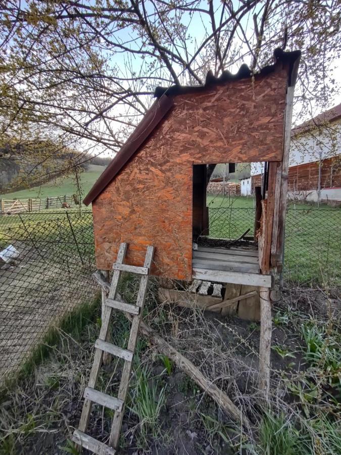 Pensiunea Ghiță Vasile Vadu Izei Exterior foto