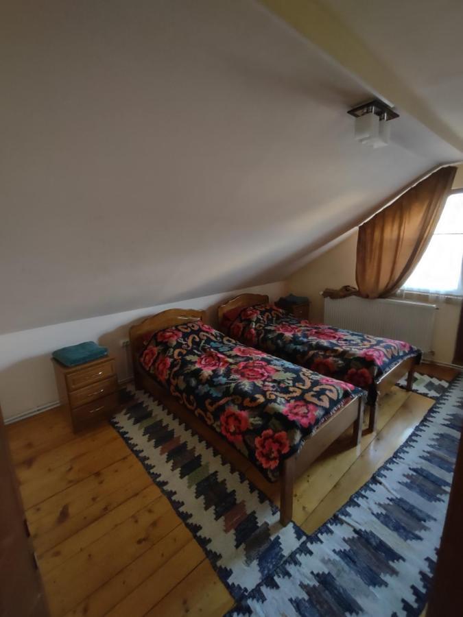 Pensiunea Ghiță Vasile Vadu Izei Exterior foto