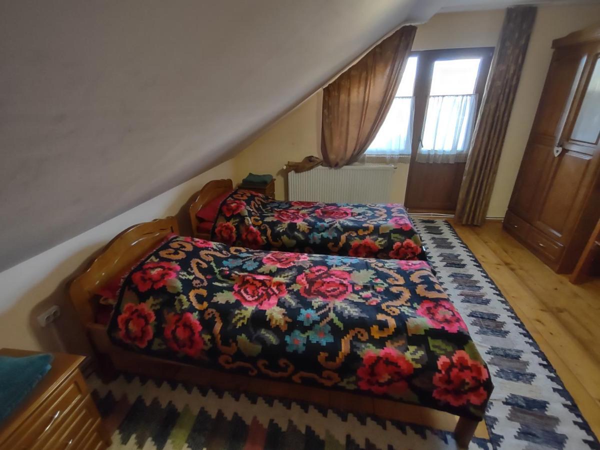 Pensiunea Ghiță Vasile Vadu Izei Exterior foto