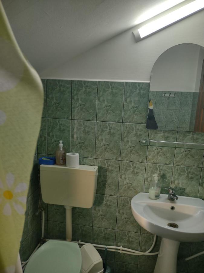 Pensiunea Ghiță Vasile Vadu Izei Exterior foto