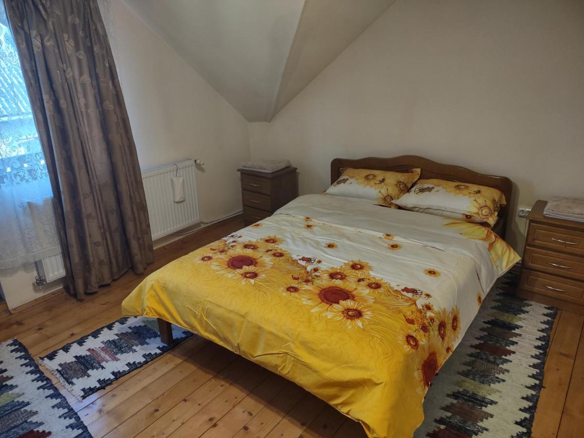 Pensiunea Ghiță Vasile Vadu Izei Exterior foto