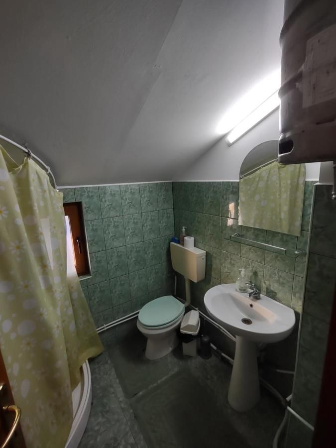 Pensiunea Ghiță Vasile Vadu Izei Exterior foto