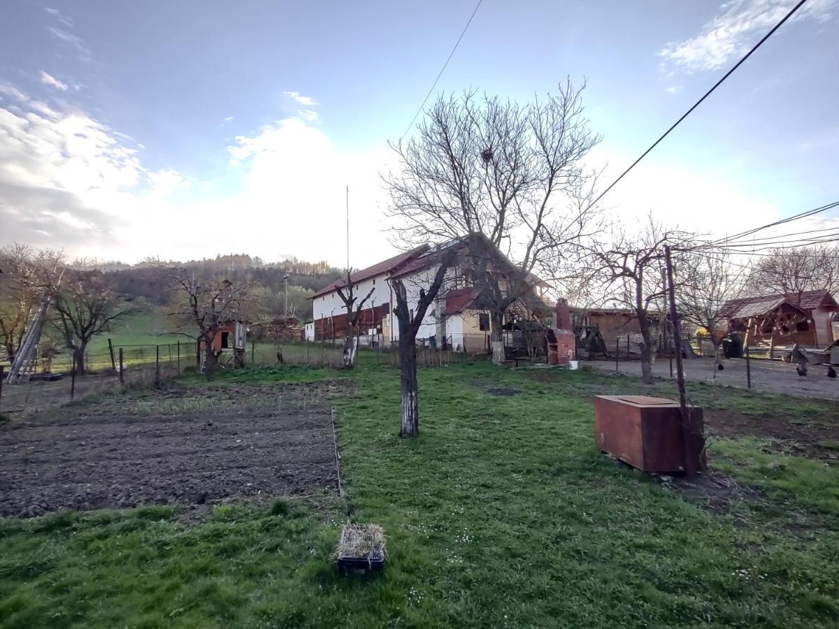 Pensiunea Ghiță Vasile Vadu Izei Exterior foto