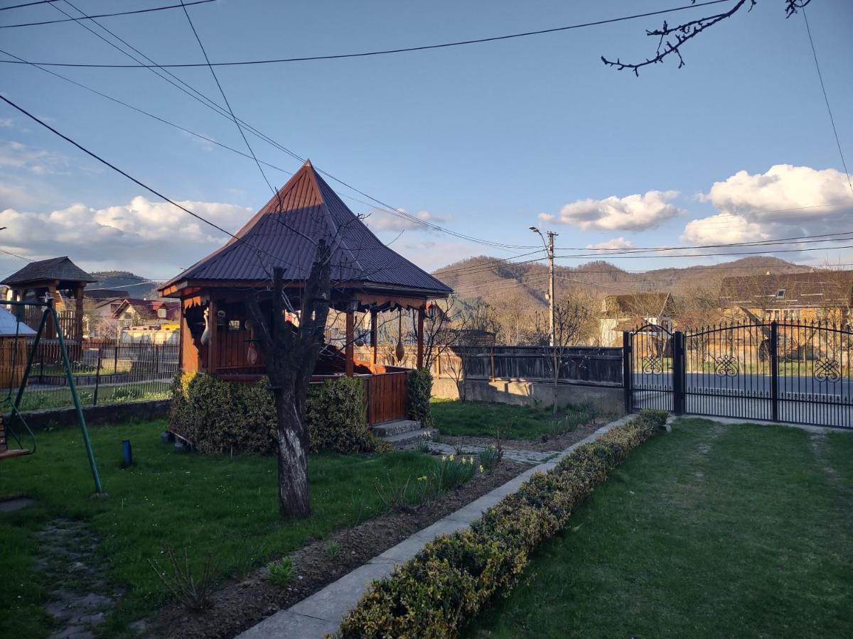 Pensiunea Ghiță Vasile Vadu Izei Exterior foto