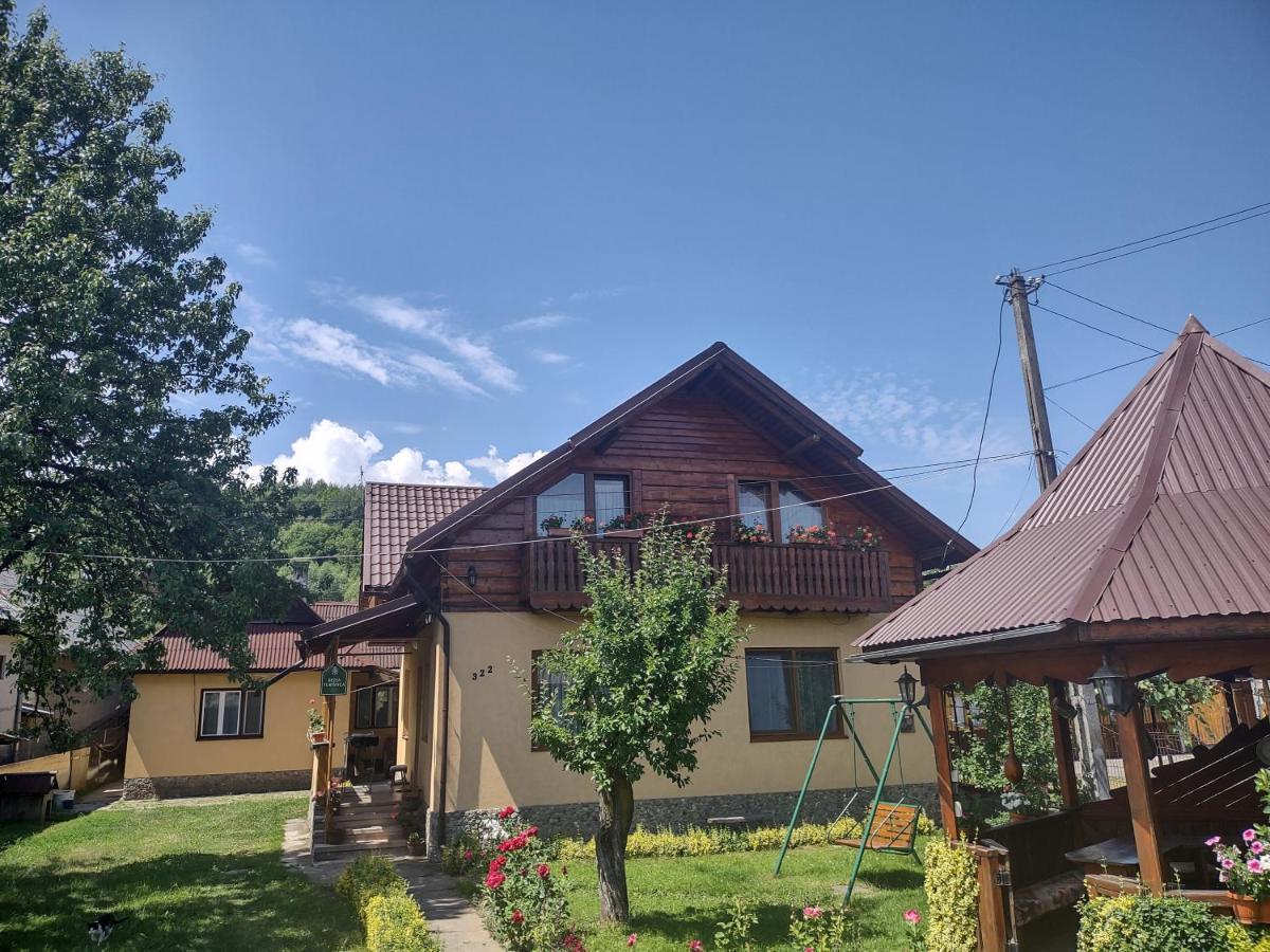 Pensiunea Ghiță Vasile Vadu Izei Exterior foto
