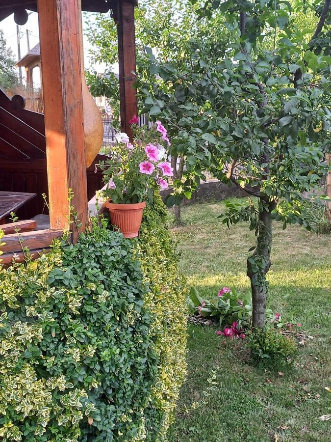Pensiunea Ghiță Vasile Vadu Izei Exterior foto