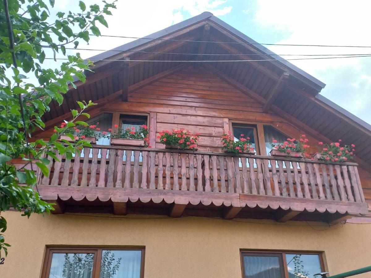 Pensiunea Ghiță Vasile Vadu Izei Exterior foto