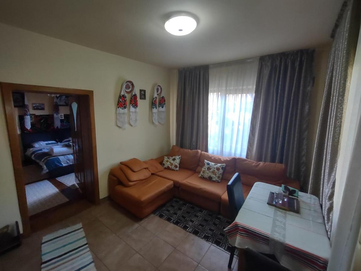 Pensiunea Ghiță Vasile Vadu Izei Exterior foto