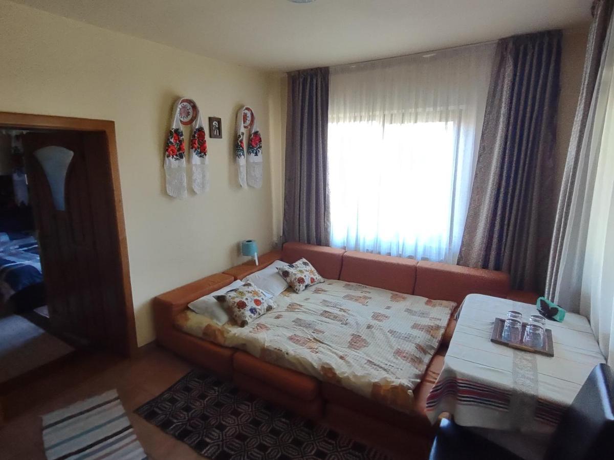 Pensiunea Ghiță Vasile Vadu Izei Exterior foto